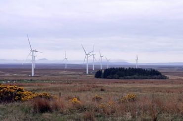 curlew-windfarm.jpg