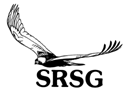 logo-srsg.png