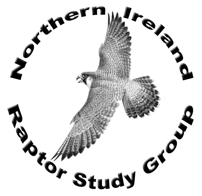 logo-nirsg.jpg